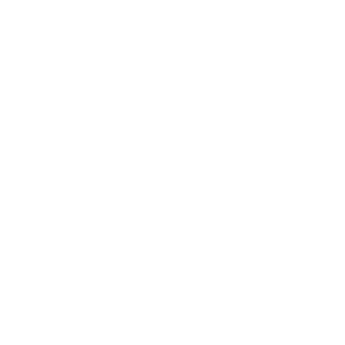 Borin Boyz